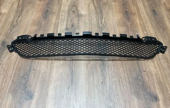 Front bumper lower grill