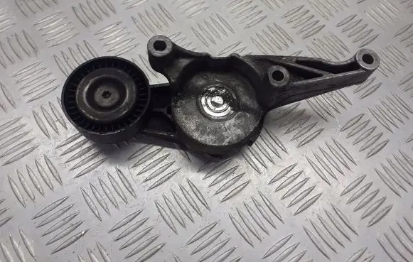 Skoda Octavia Mk2 (1Z) Alternator belt tensioner pulley 03G903315C