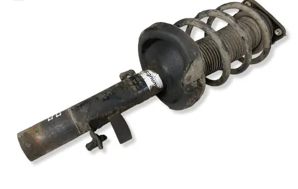 Ford C-MAX II Front shock absorber with coil spring AGG146T
