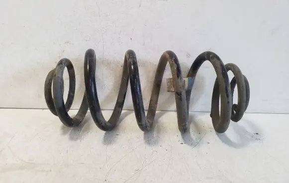 Opel Ampera Rear coil spring
