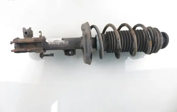Fiat Punto (199) Front shock absorber with coil spring 51796541