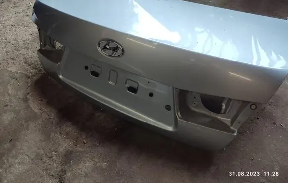 Hyundai Sonata Back/rear loading door 