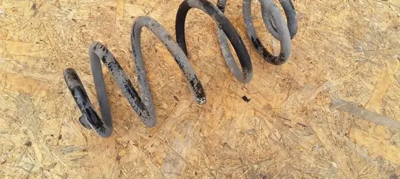 Opel Insignia A Rear coil spring