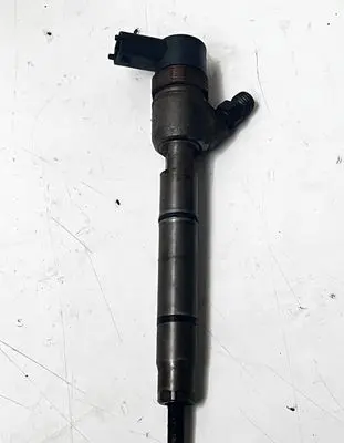 KIA Ceed Fuel injector 0445110320 338002A900