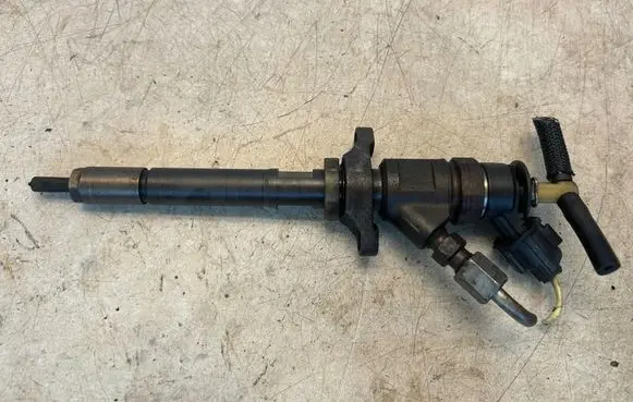 Citroen C4 I Picasso Fuel injector 0445110311 620033