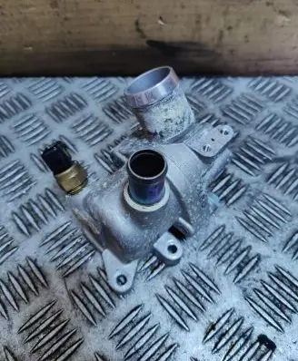 Thermostat/thermostat housing