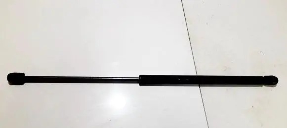 Tailgate/trunk strut/damper