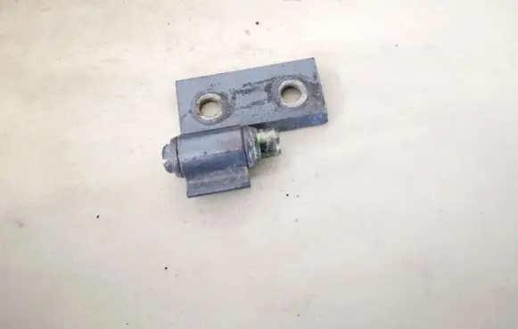 Rear door lower hinge