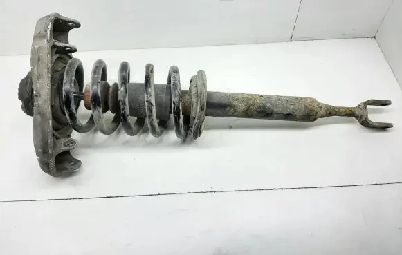 Audi A4 S4 B7 8E 8H Front shock absorber with coil spring