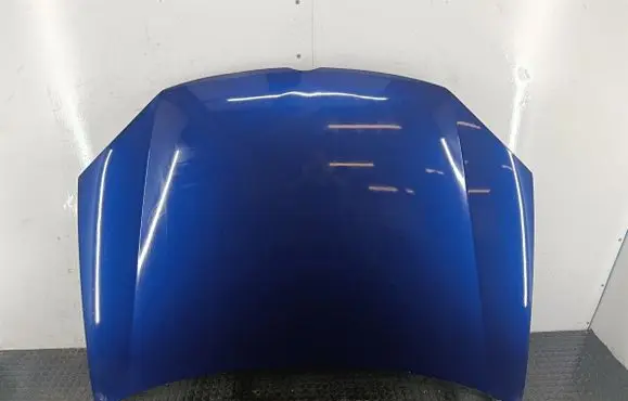 Volkswagen Golf V Engine bonnet/hood LD5Q