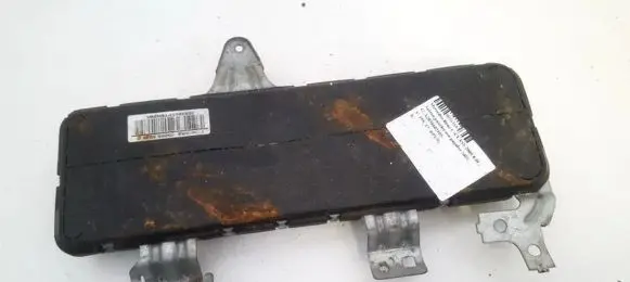 Front door airbag