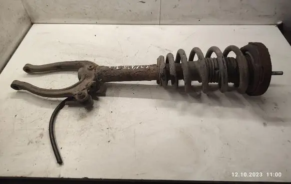 Hyundai Sonata Front shock absorber with coil spring