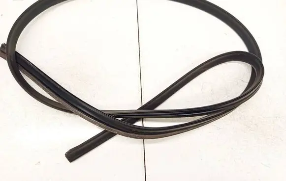 Opel Zafira B Rubber seal front coupe door 13204499