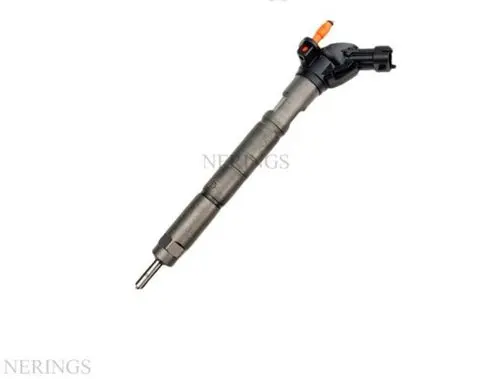 Fiat Ducato Fuel injector 0445116059 0986435395