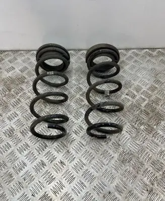 Rear coil spring