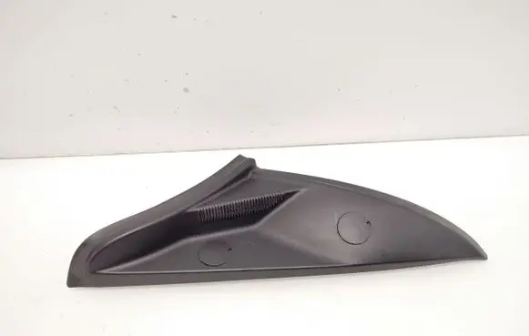 Rear/tail light trim molding