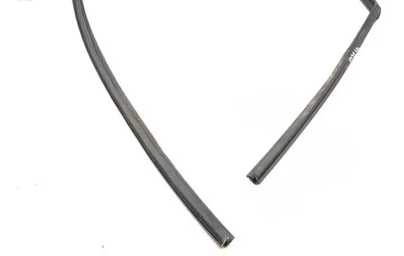 Toyota Prius (XW30) Rubber seal rear door window/glass