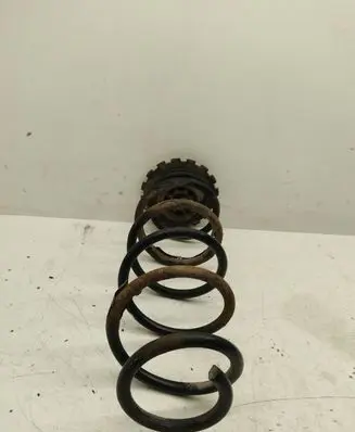 Mercedes-Benz B W245 Rear coil spring A1693250384