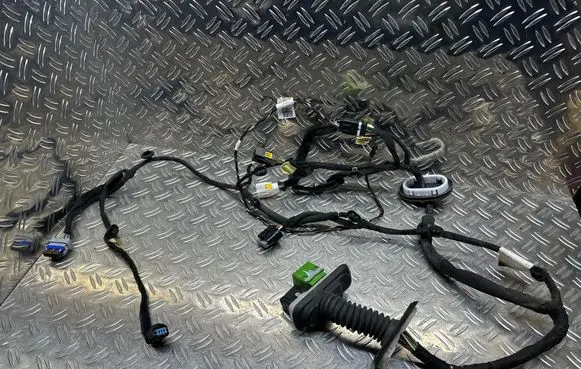 Citroen DS7 Crossback Front door wiring loom 9826015580 18052018