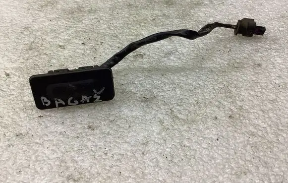 Chevrolet Bolt Loading door exterior handle 17196481 117186471 118236081