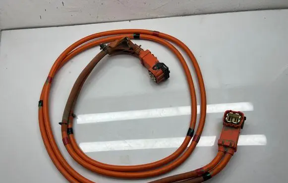 Tesla Model 3 Other wiring loom 110900300D