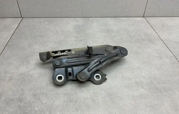 Skoda Superb B8 (3V) Engine bonnet/hood hinges 3V0823301