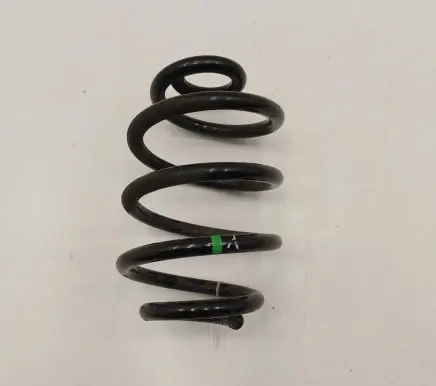 Nissan Leaf II (ZE1) Rear coil spring