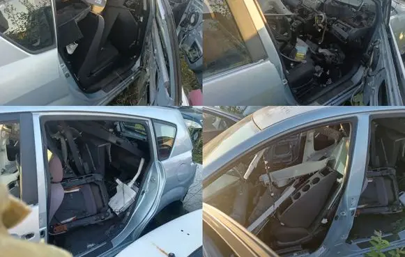 Toyota Corolla Verso E121 Front door rubber seal 