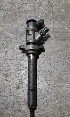 Citroen C4 I Fuel injector 0445110297