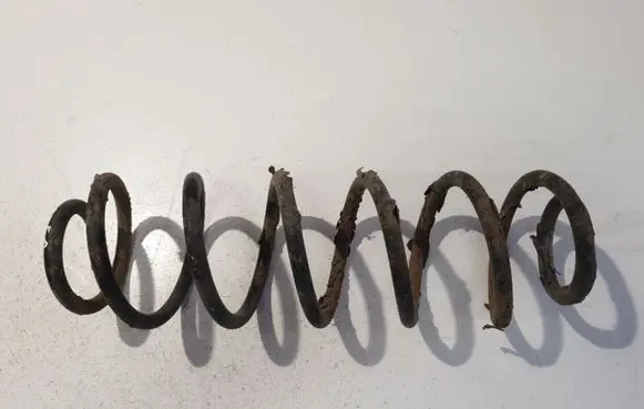 Rear coil spring