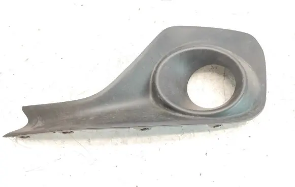 Front fog light trim/grill