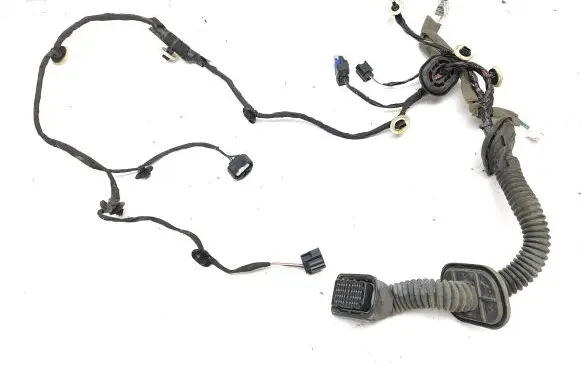 Renault Scenic IV - Grand scenic IV Front door wiring loom 241241494R