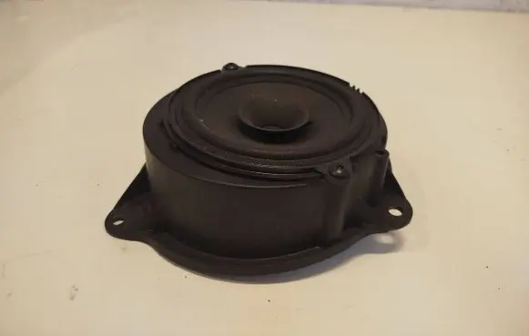 Renault Kangoo II Front door speaker 8200495686 09MFU8200686