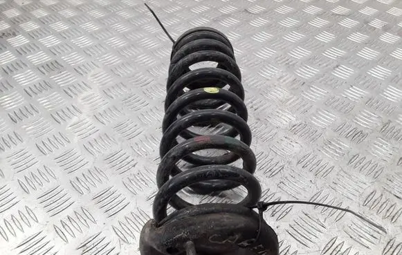 KIA Carens II Rear coil spring
