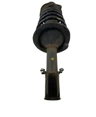 Fiat Doblo Front shock absorber/damper 51755247