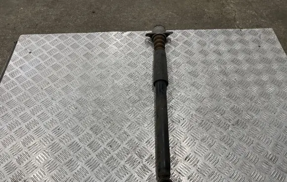 Seat Toledo IV (NH) Rear shock absorber/damper 6R0513025AN