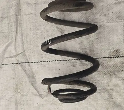 Rear coil spring