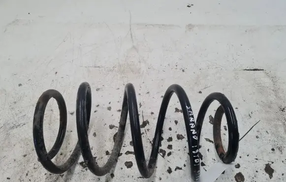 Front coil spring