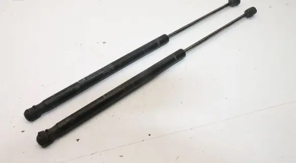 Tailgate/trunk/boot lift motor
