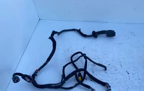 KIA Rio Front door wiring loom 916001W300