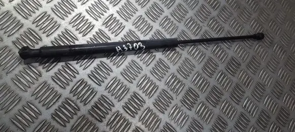 Peugeot 207 Tailgate/trunk strut/damper 9650780480