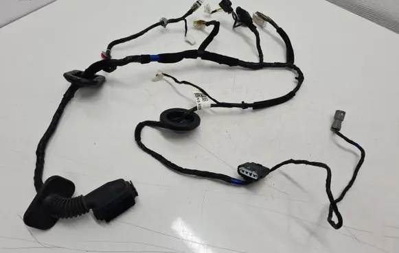 Hyundai Santa Fe Front door wiring loom 916102W630 919812W010