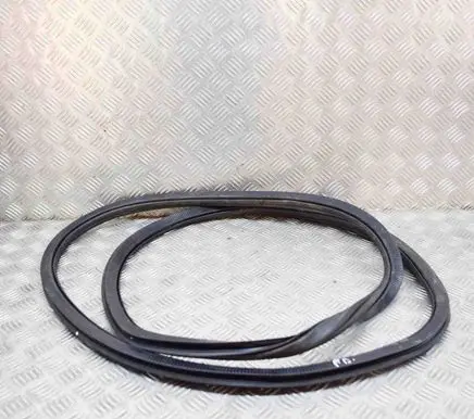 Volkswagen ID.3 Rubber seal front door (on door) 10A867911