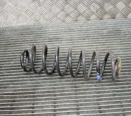 Ford Ecosport Rear coil spring