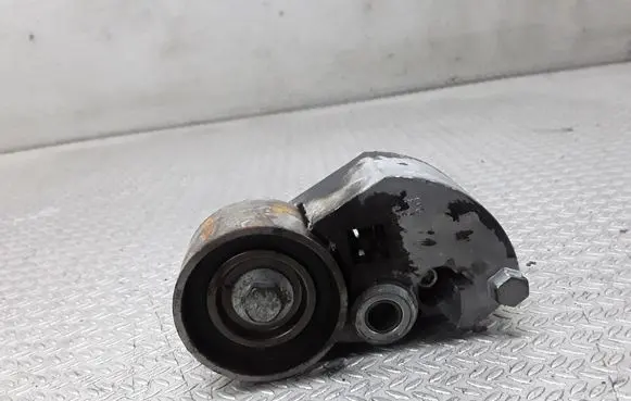 Hyundai Getz Timing belt/chain tensioner 
