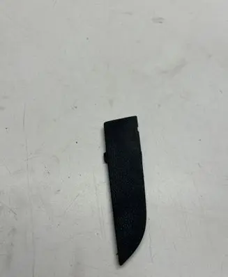 Dodge Charger Other front door trim element 1se59trmaa