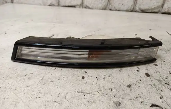 Volkswagen PASSAT B6 Front indicator light 3C0953041L