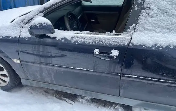 Opel Signum Front door 