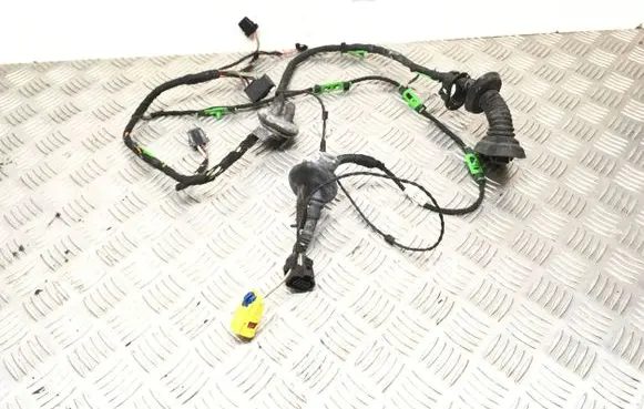 Audi A6 S6 C6 4F Front door wiring loom/harness boot 4F1971030AD TS15331332 1120061618