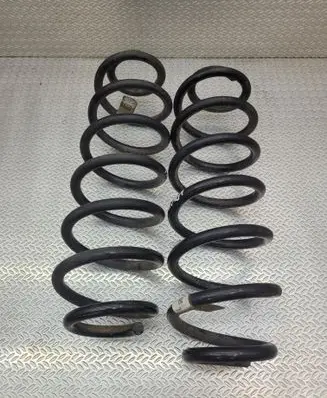 Rear coil spring